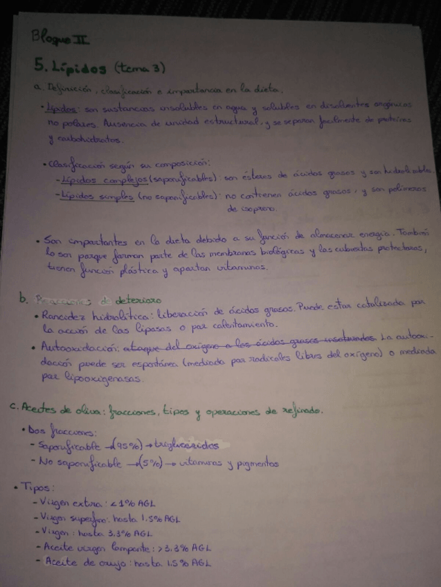 Miniatura del documento bloque II.pdf