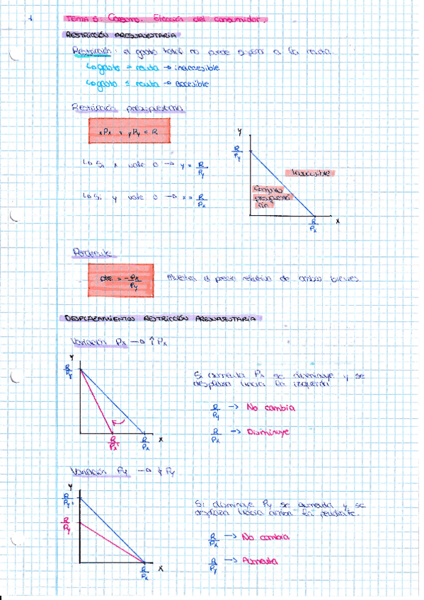 Miniatura del documento Apuntes-Tema-5.pdf