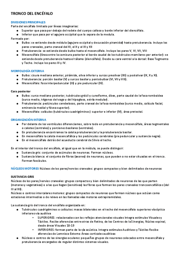 Miniatura del documento TRONCO DEL ENCÉFALO.pdf