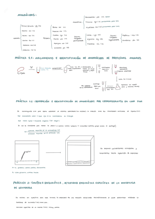 Miniatura del documento PRACTICAS.pdf