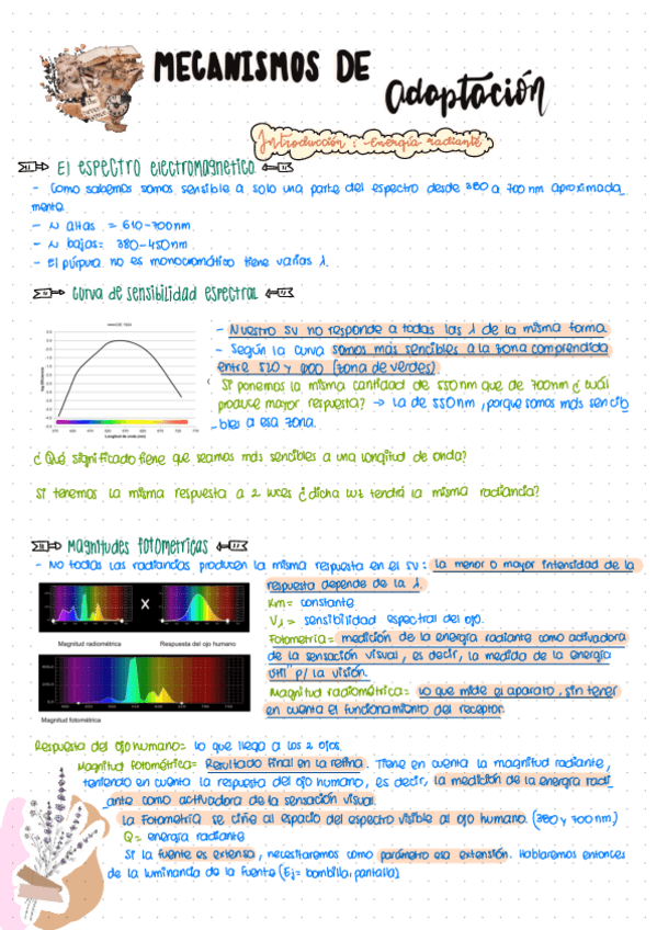 Miniatura del documento Tema-3.pdf