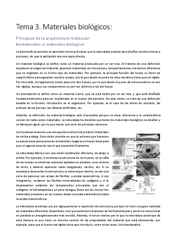 Miniatura del documento Tema-3.pdf