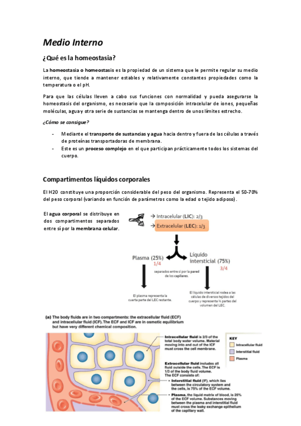 Miniatura del documento Resumen-Fisiologia.pdf