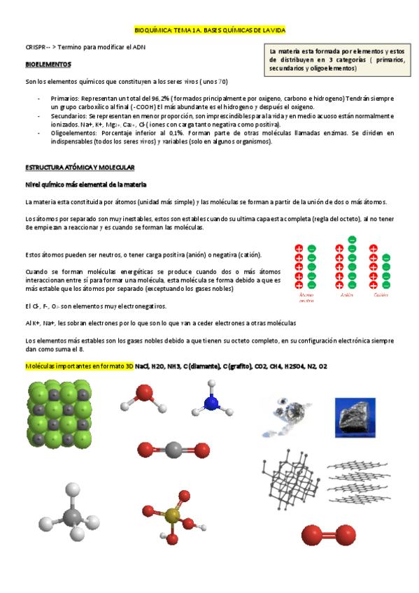 Miniatura del documento RESUMEN-BIOQUIMICA.pdf