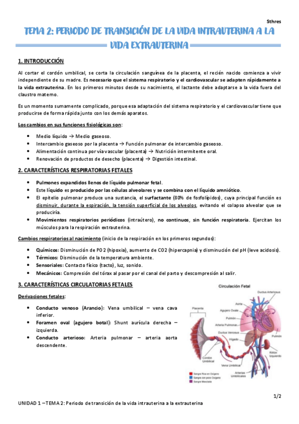 Miniatura del documento TEMA-2.pdf