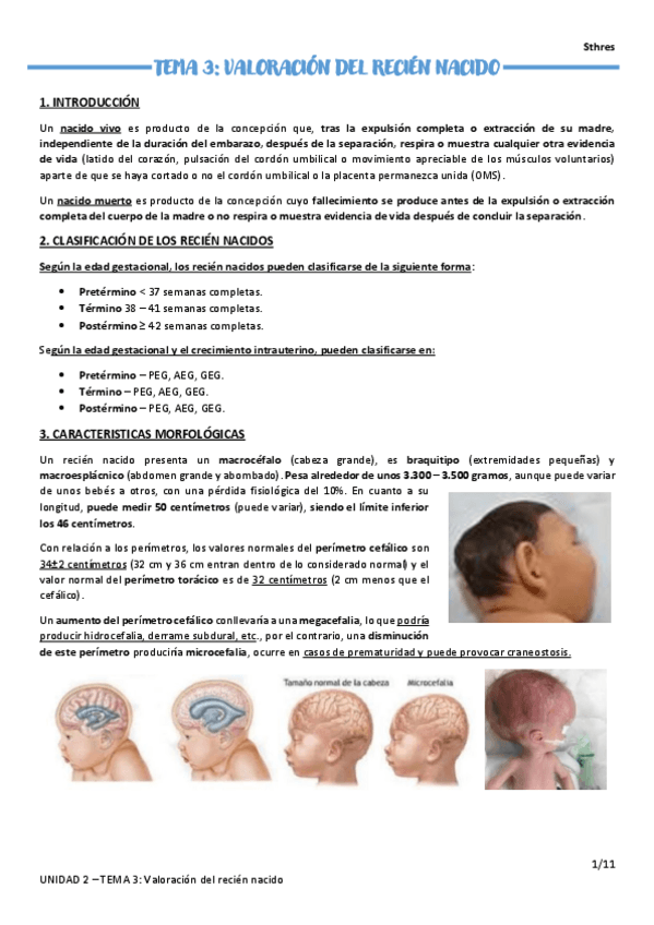 Miniatura del documento TEMA-3.pdf