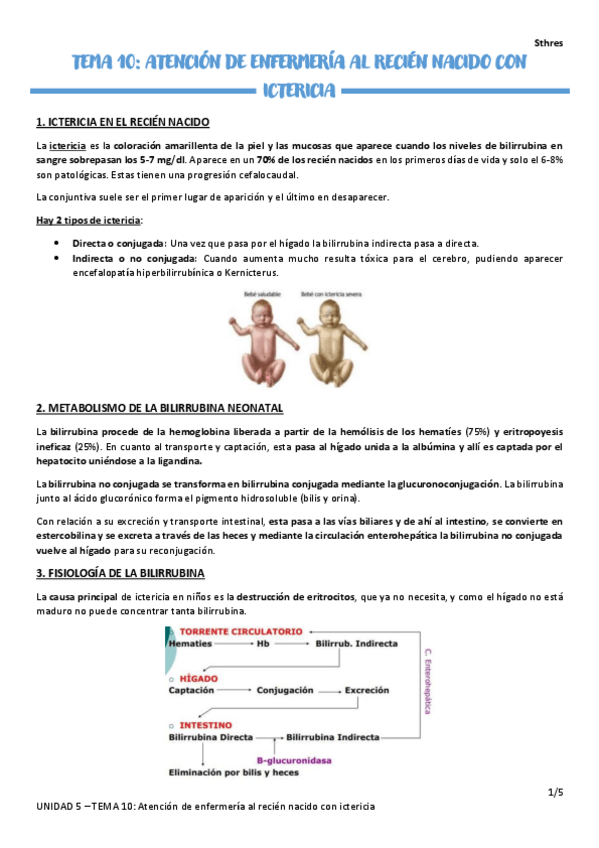Miniatura del documento TEMA-10.pdf