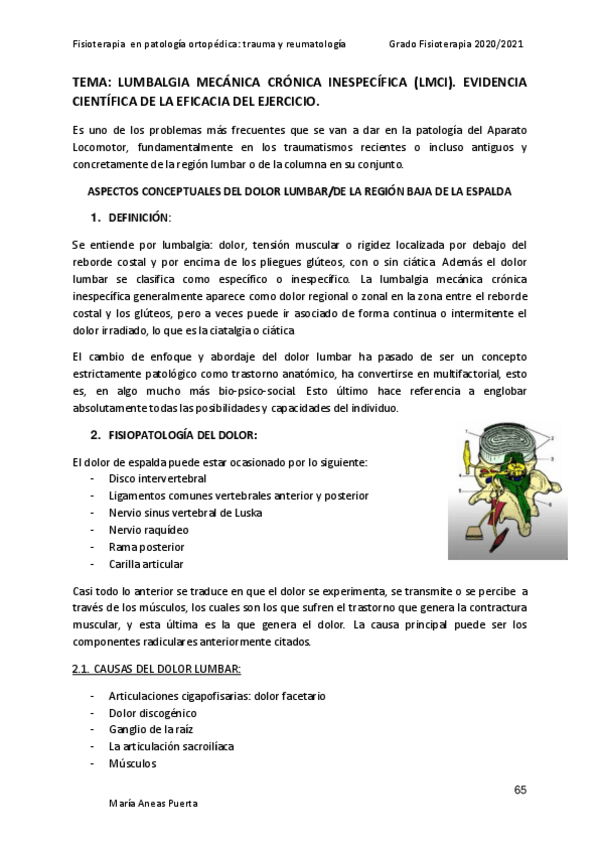 Miniatura del documento LUMBALGIA-MECANICA-CRONICA-INESPECIFICA-LMCI.pdf