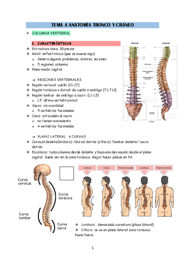 Miniatura del documento ANAT-T4.pdf