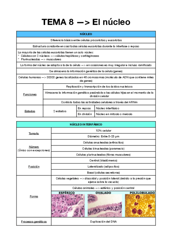 Miniatura del documento TEMA-8-BIO.pdf