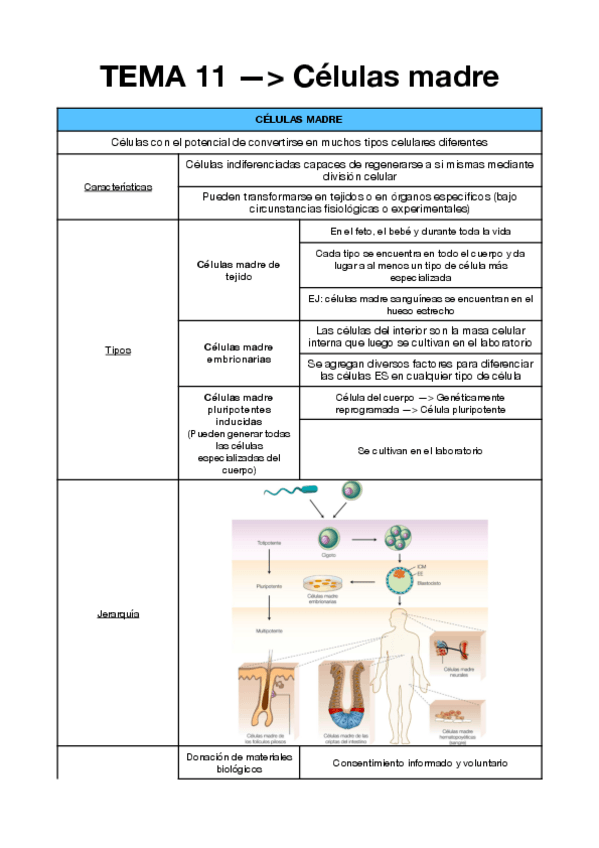 Miniatura del documento TEMA-11-BIO.pdf