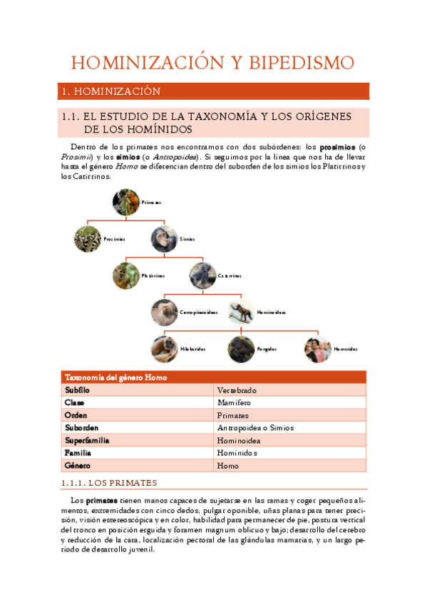 Miniatura del documento 2.-Hominizacion-y-bipedismo.pdf