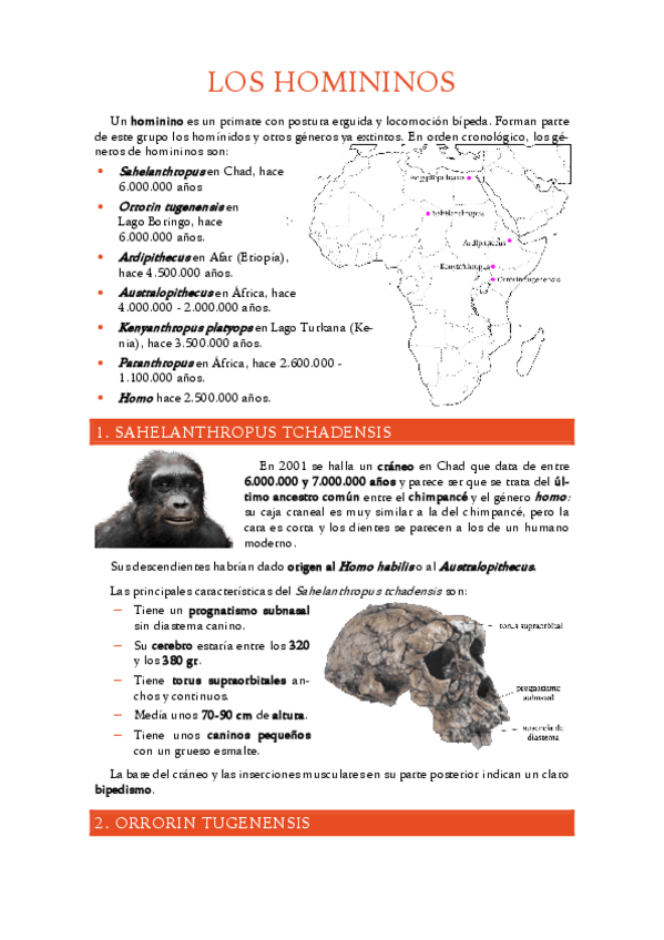 Miniatura del documento 3.-Homininos.pdf