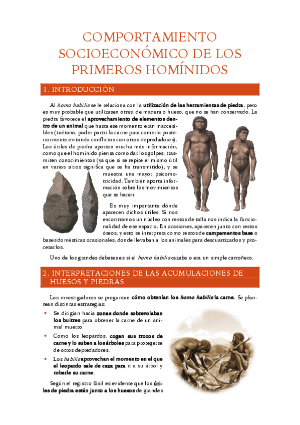 Miniatura del documento 5.-Comportamiento-socioeconomico-de-los-primeros-hominidos.pdf