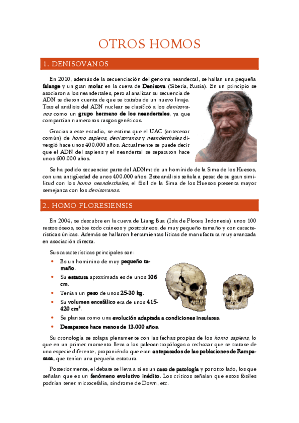 Miniatura del documento 7.-Otros-homos.pdf