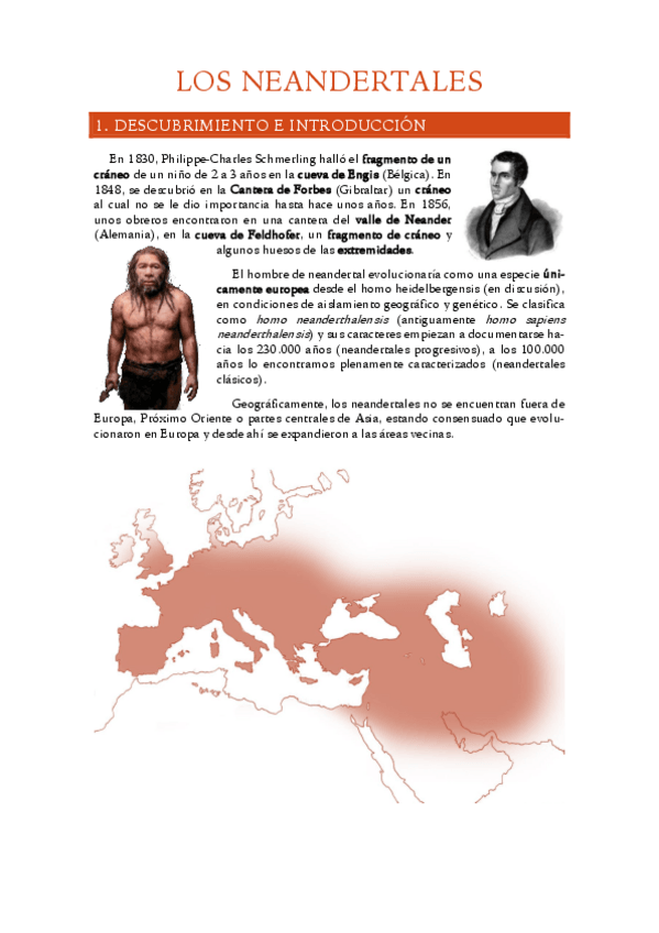 Miniatura del documento 8.-Neandertales.pdf