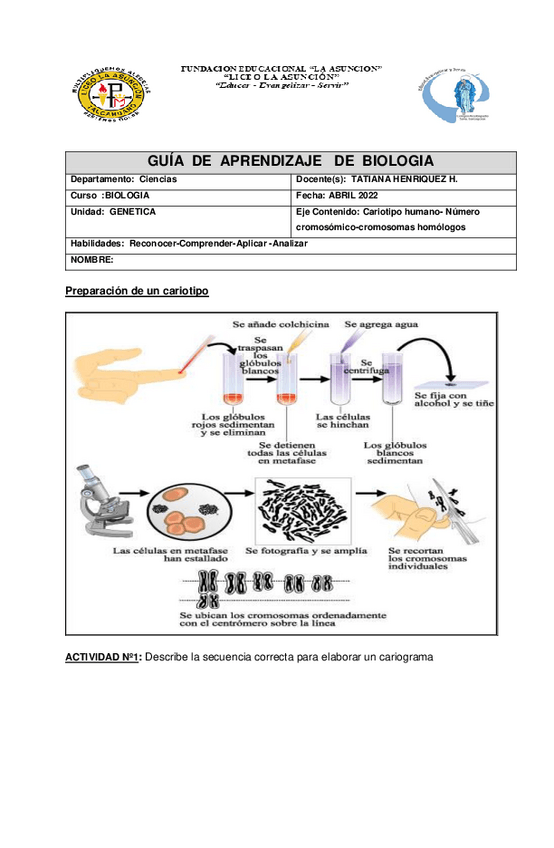 Miniatura del documento GUIA-CARIOTIPO-HUMANO.pdf