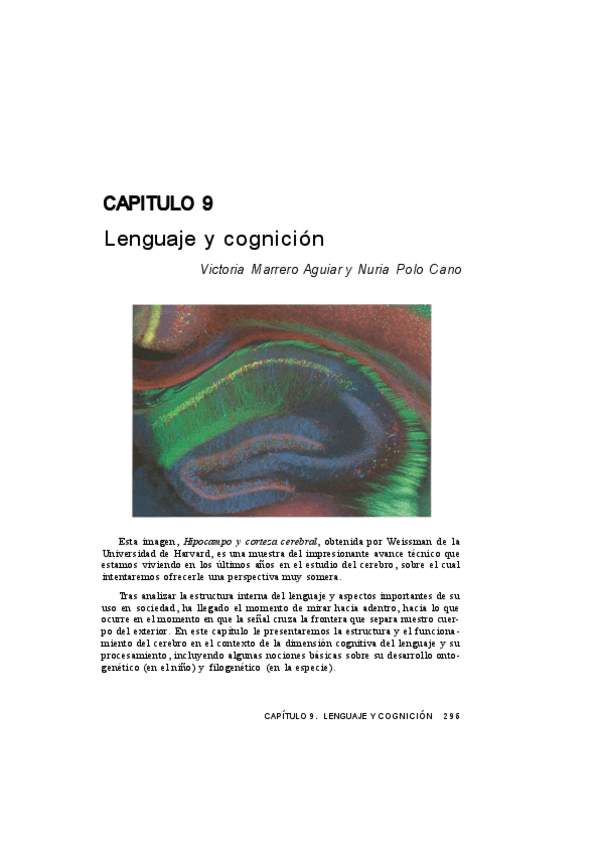 Miniatura del documento 9.-LENGUAJE-Y-COGNICION.pdf