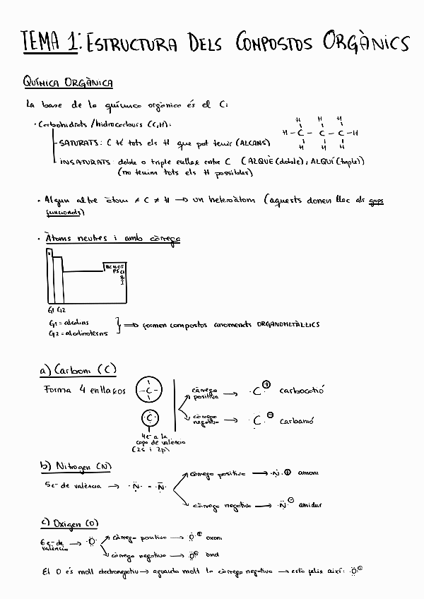Miniatura del documento TOT-EL-TEMARI-APUNTS-ACADEMIA-MOLT-BONS.pdf