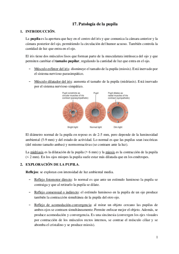 Miniatura del documento 17.-Patologia-de-la-pupila.pdf
