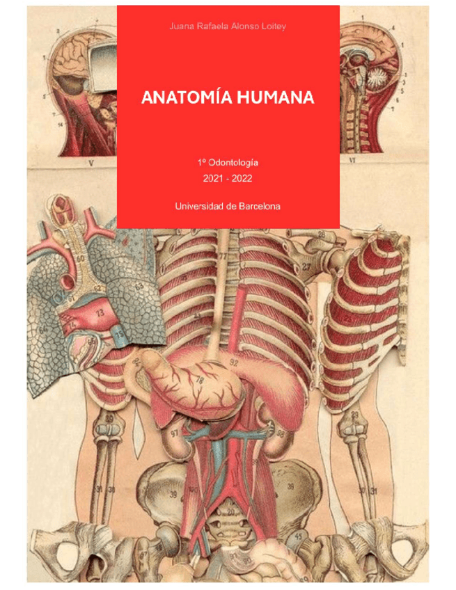 Miniatura del documento Anatomia-humana.pdf