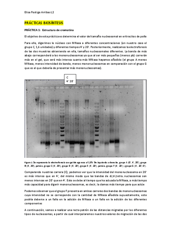 Miniatura del documento Memoria-practicas-biosintesis.pdf