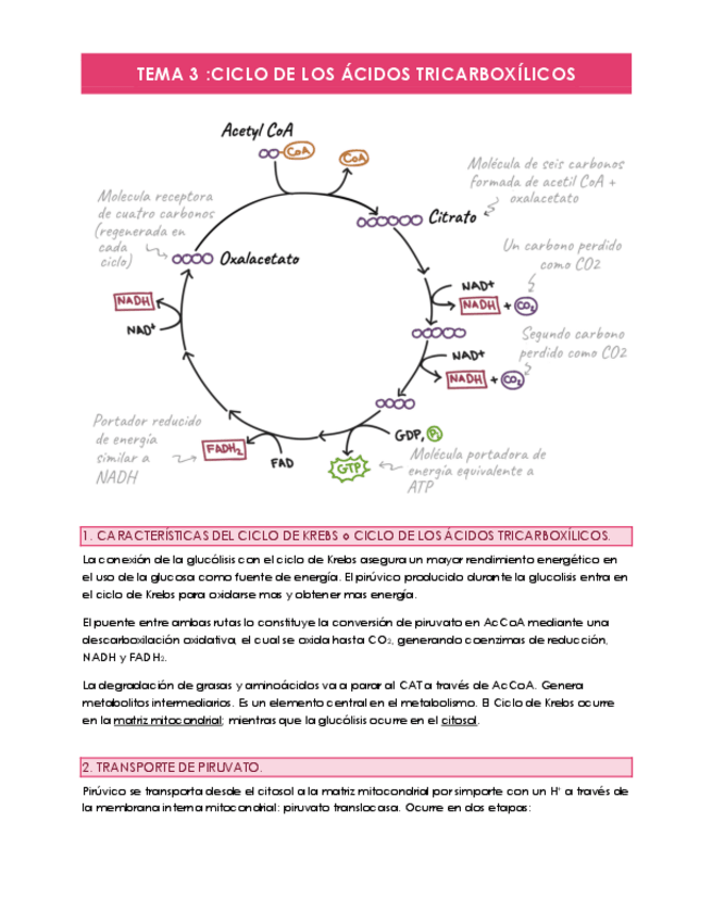 Miniatura del documento TEMA-3.pdf