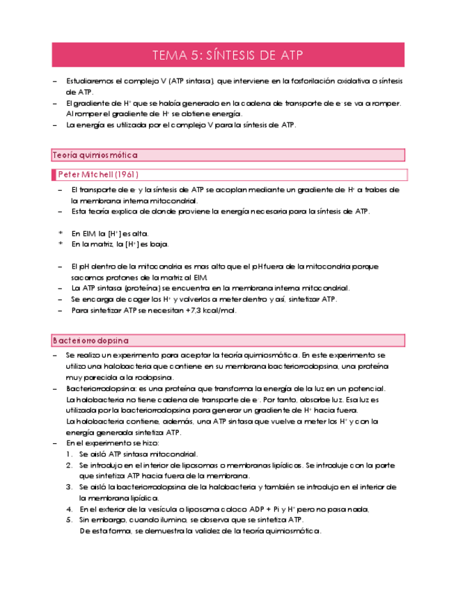 Miniatura del documento TEMA-5.pdf