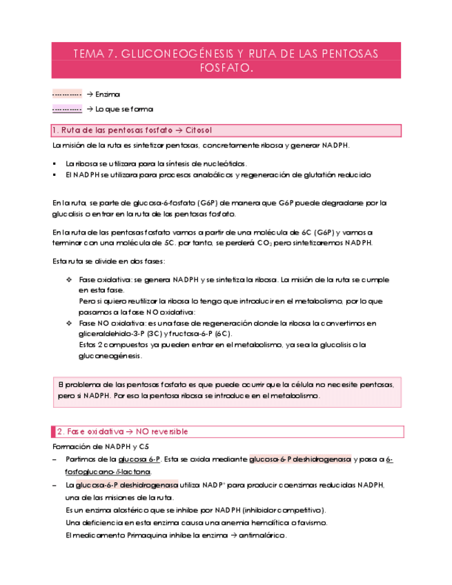 Miniatura del documento TEMA-7.pdf