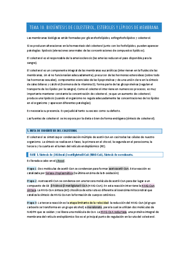 Miniatura del documento TEMA-10.pdf