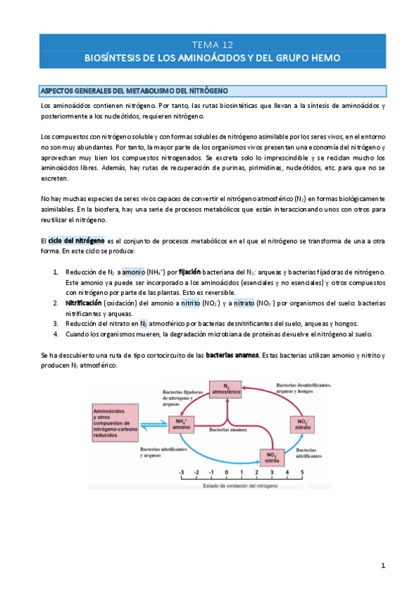 Miniatura del documento TEMA-12.pdf