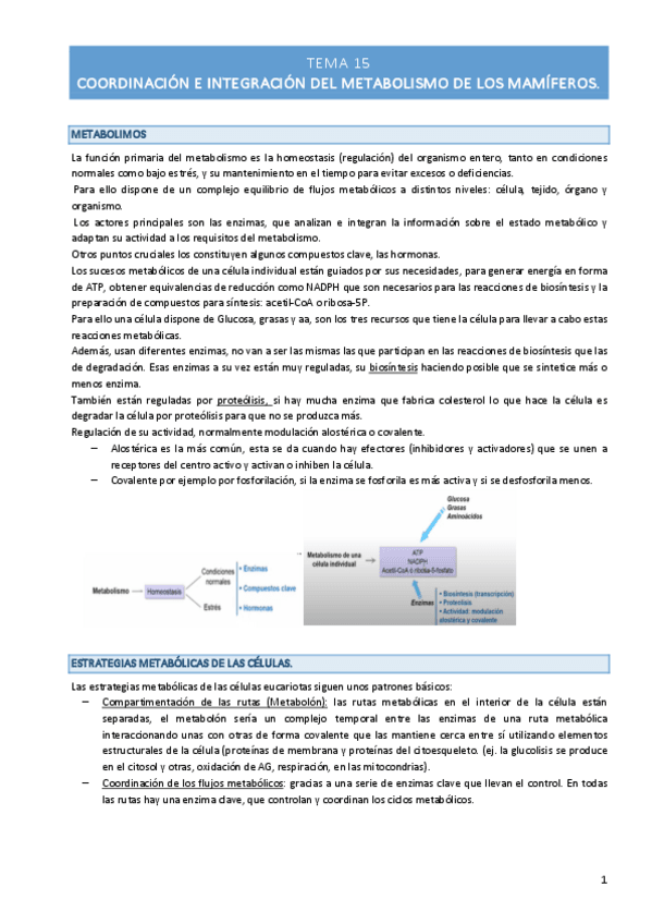 Miniatura del documento TEMA-15.pdf