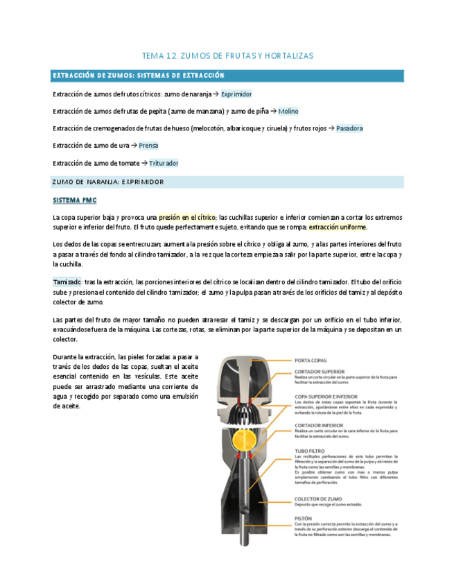 Miniatura del documento IN-2TEMA-12.pdf