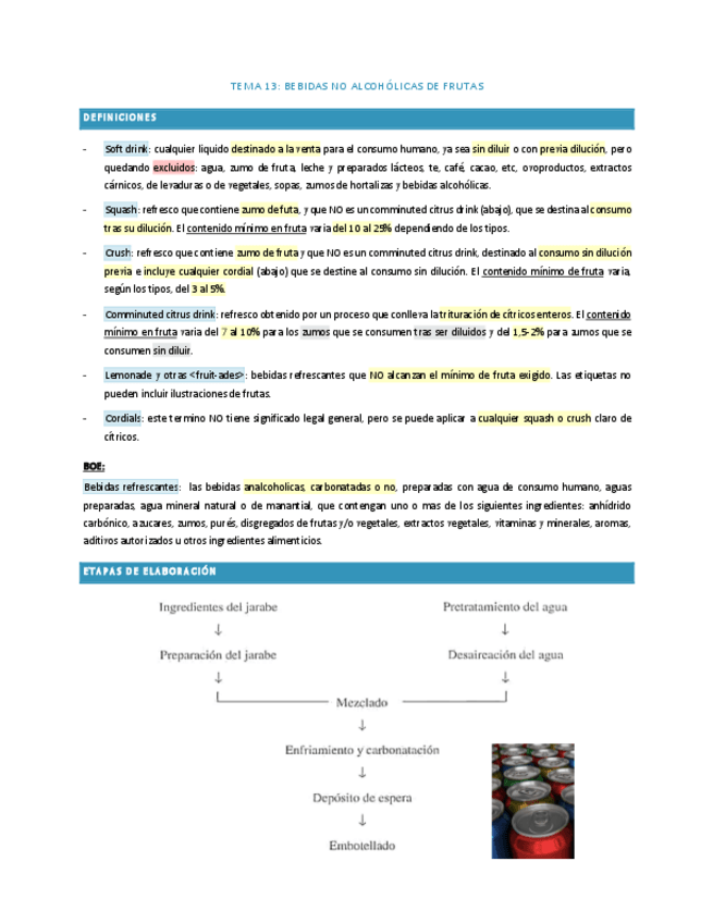 Miniatura del documento IN-2TEMA-13.pdf