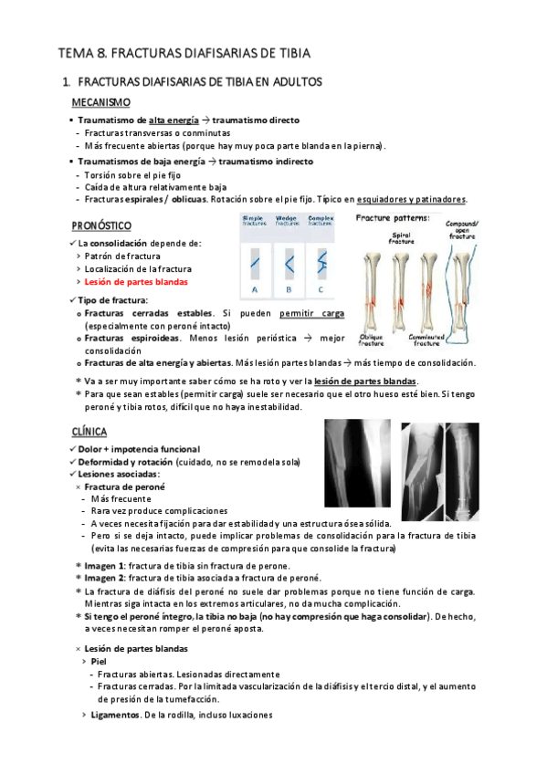 Miniatura del documento T8.-Lesiones-diafisarias-de-tibia.pdf