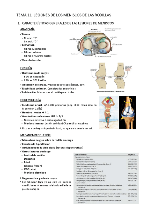 Miniatura del documento T11.-Lesiones-meniscales-de-rodilla.pdf