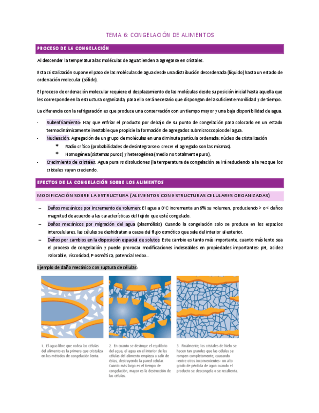 Miniatura del documento TEMA-6-tecno-1.pdf