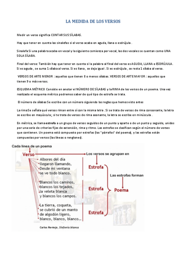 Miniatura del documento LA-MEDIDA-DE-LOS-VERSOS.pdf