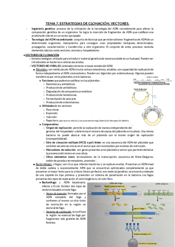 Miniatura del documento TEMA-7.pdf