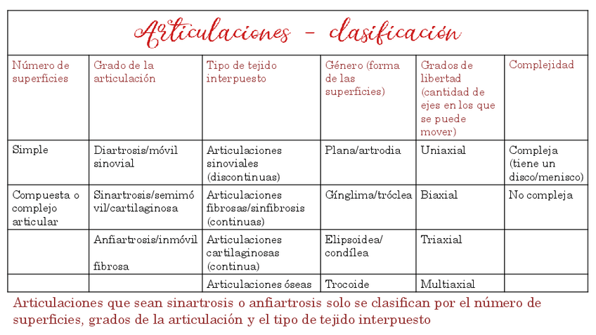 Miniatura del documento Articulaciones-clasficacion.pdf