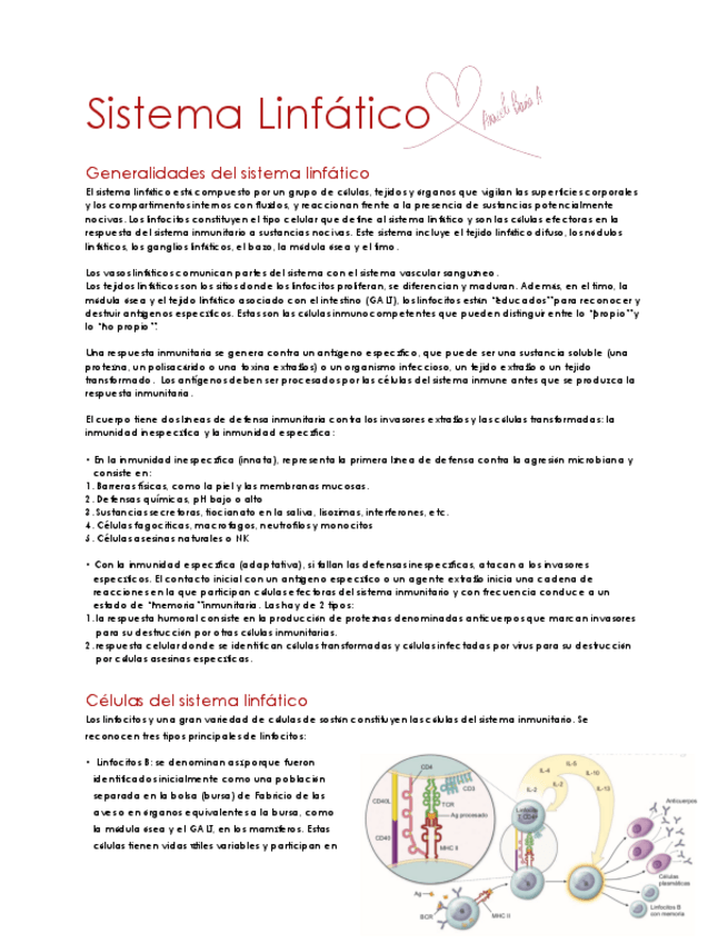 Miniatura del documento Sistema-Linfatico-.pdf