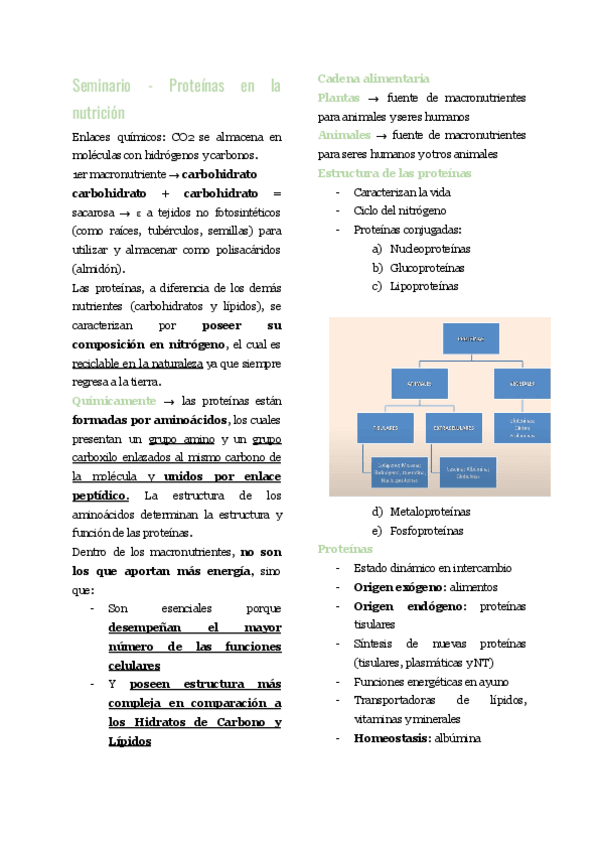 Miniatura del documento Seminario-Proteinas-en-la-nutricion.pdf