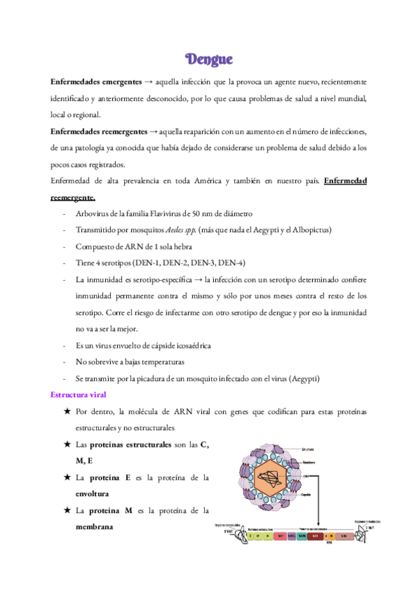 Miniatura del documento Dengue-2022.pdf