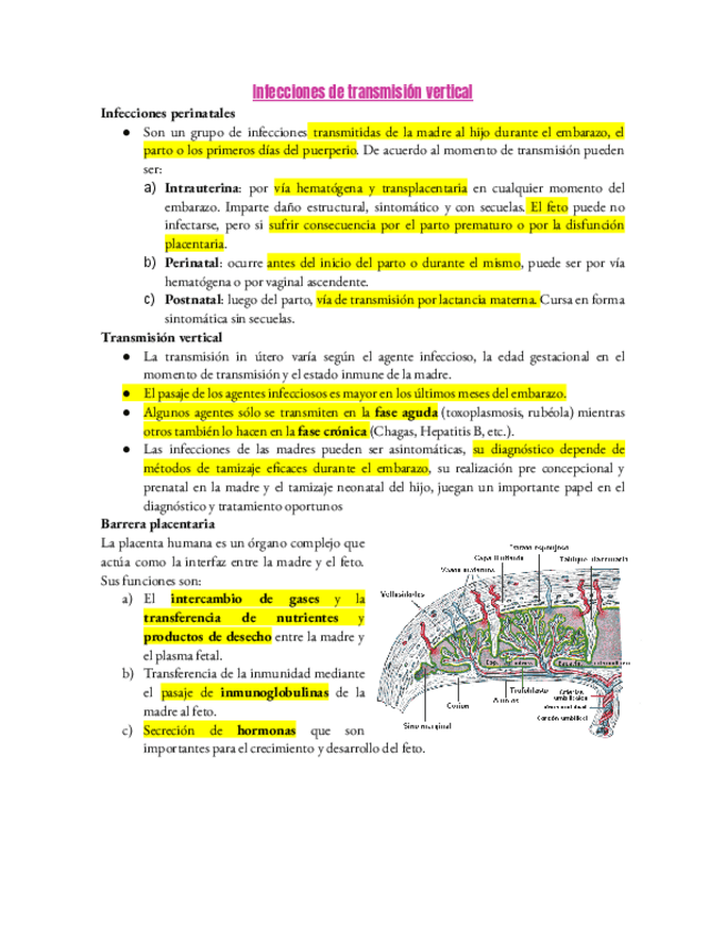 Miniatura del documento sifilis-y-toxoplasmosis.pdf