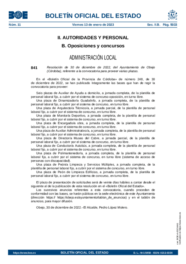 Miniatura del documento BOE-A-2023-841.pdf