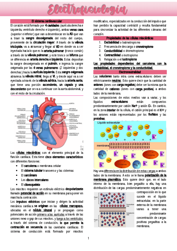 Miniatura del documento 10-Electrofisiologia.pdf