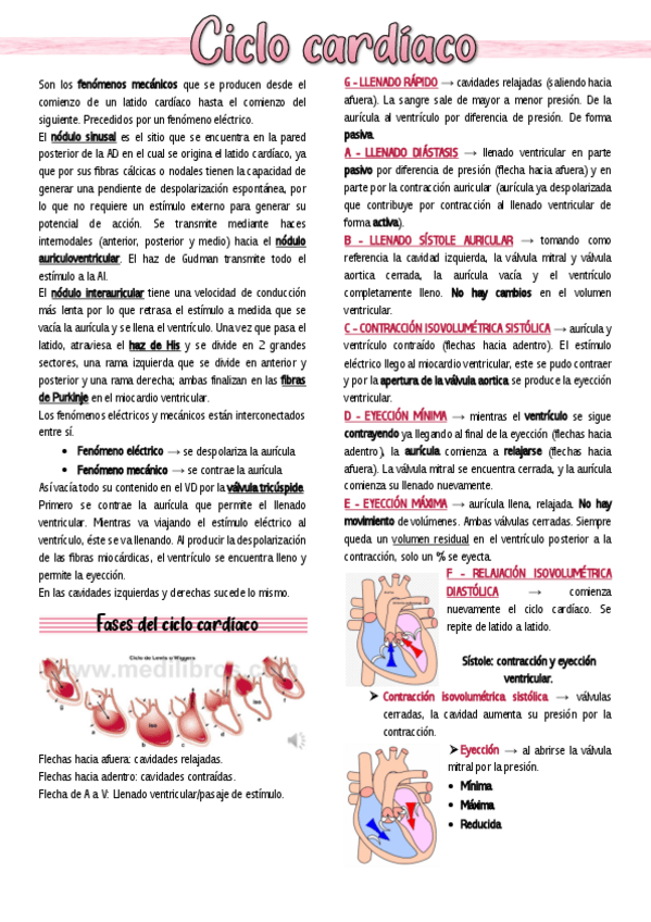 Miniatura del documento 11-Ciclo-cardiaco.pdf