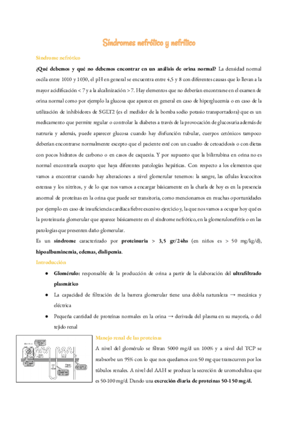 Miniatura del documento 25-Sindromes-nefrotico-y-nefritico.pdf