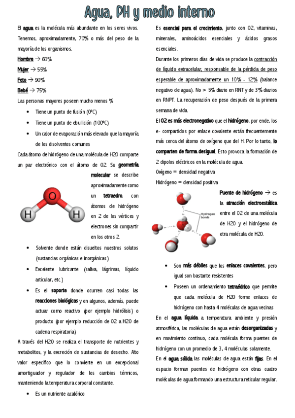 Miniatura del documento CLASE-4.pdf