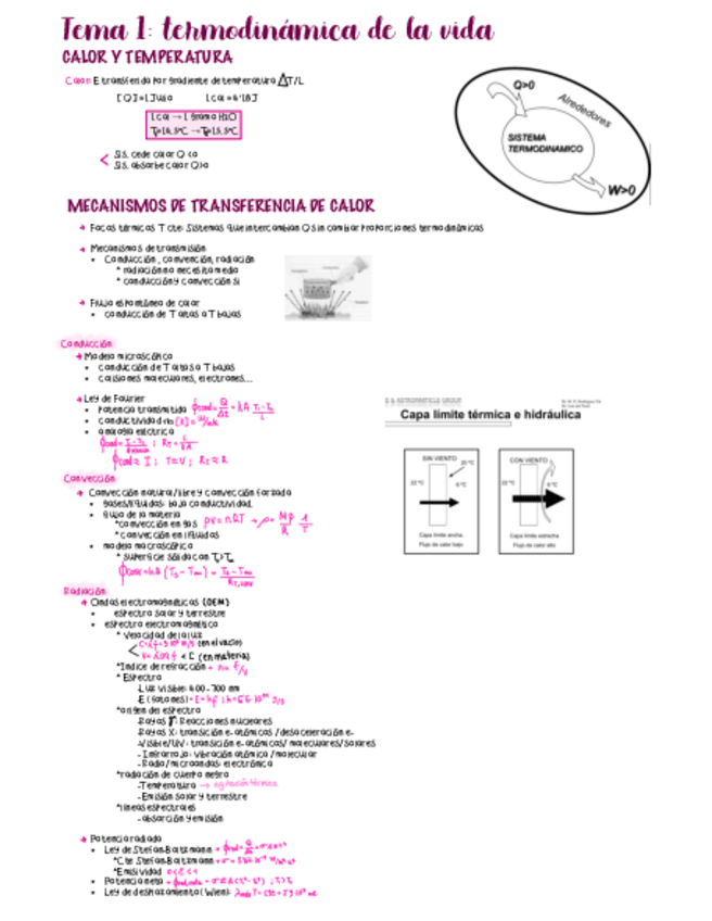 Miniatura del documento Tema-1-Termodinamica-de-la-vida.pdf